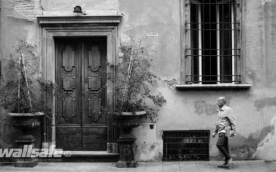 Umidità e muffa in casa cosa fare ?