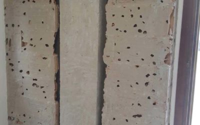 Caso pratico: ponte termico, eliminazione definitiva della muffa