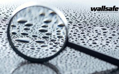 I tipi di muffa più frequenti in casa