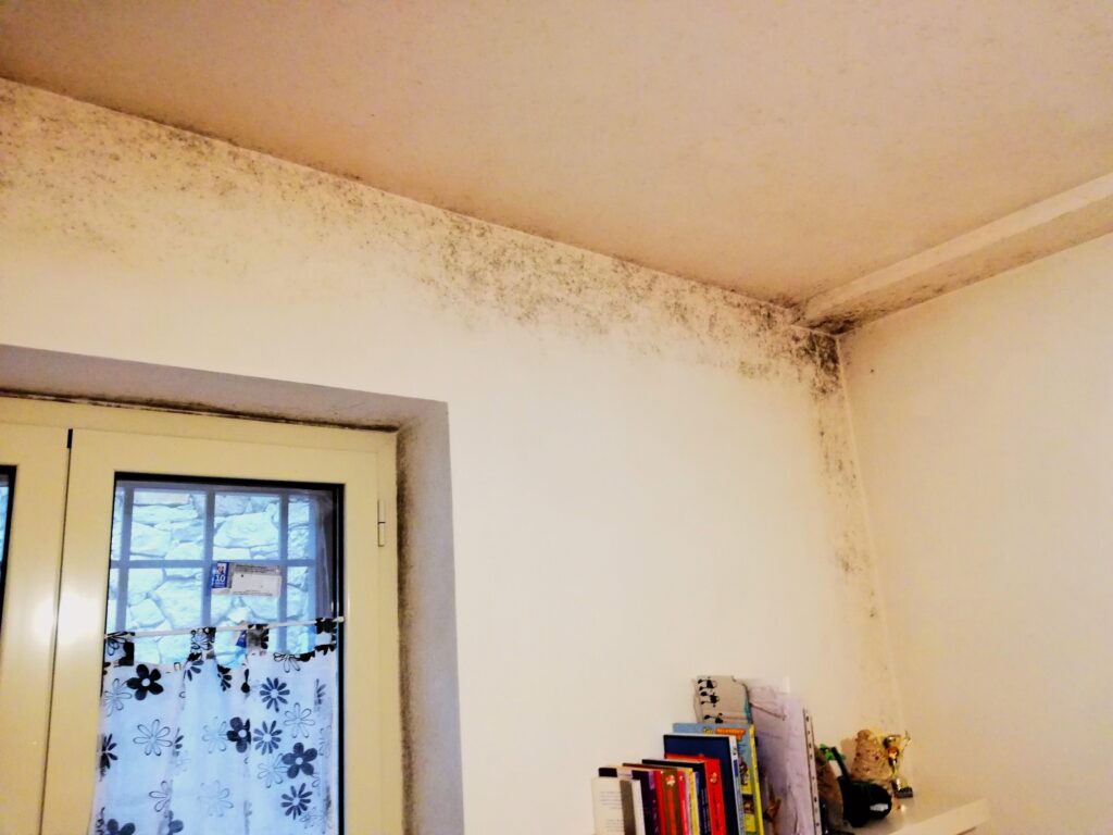 Muffa e umidita appartamento condominio